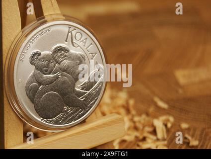 Koala da 1 dollaro 2023 moneta australiana in argento puro in capsula Foto Stock