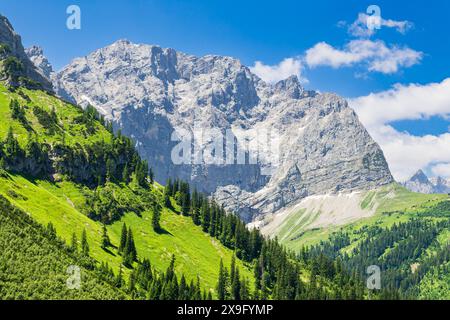 Landscape in the Risstal valley near the Eng Alm in Austria. Foto Stock
