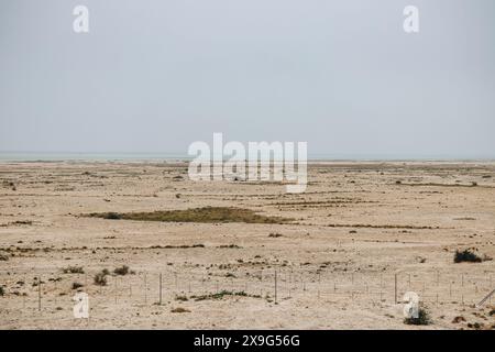 Deserto nel nord del Qatar intorno al forte di al Zubarah Foto Stock