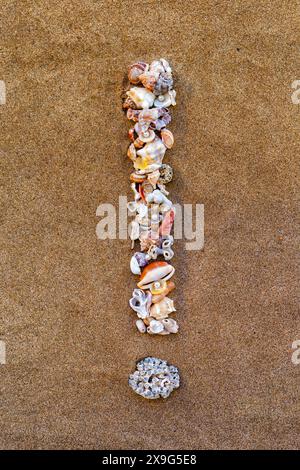 Punto esclamativo, domanda, punto, trattino, meno, inoltre, per scrivere o alfabeto, con conchiglie sulla sabbia. Alfabeto shell sulla sabbia. lettere nautiche sp Foto Stock