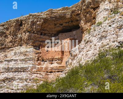 Montezuma Castle National Monument, Camp Verde, Arizona, un'abitazione rupestre costruita dai Sinagua della Verde Valley circa 900 anni fa. Foto Stock