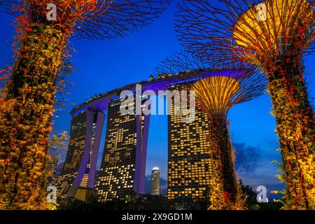 Spettacolo di luci e musica nei giardini del parco della baia Supertrees passerella sopraelevata tra i coloratissimi superalberi illuminati, Gardens by the Bay, Singapore Foto Stock