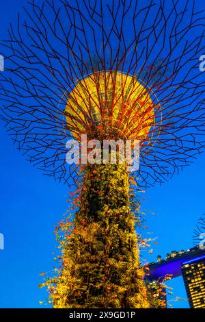 Spettacolo di luci e musica nei giardini del parco della baia Supertrees passerella sopraelevata tra i coloratissimi superalberi illuminati, Gardens by the Bay, Singapore Foto Stock