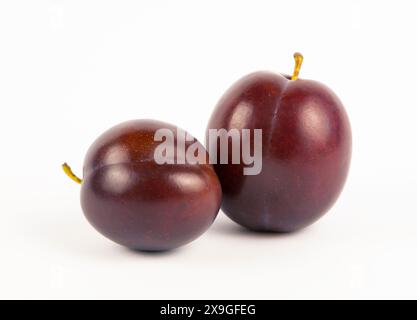 Primo piano di due prugne viola, vista frontale. Foto Stock