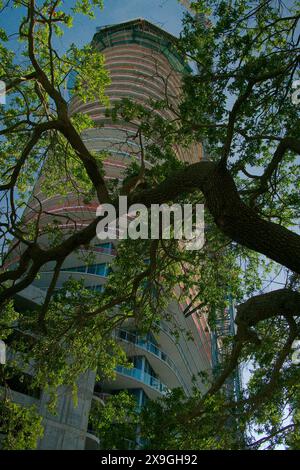 Ammira i verdi alberi in primo piano fino al parcheggio a più piani, l'edificio e le gru in costruzione. Cielo blu e scherma. Niente persone Foto Stock