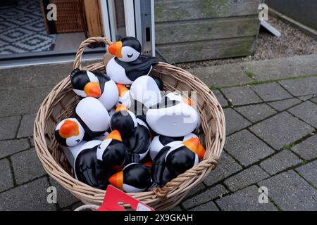 Un cestino di pulcinelle di anatra giocattolo in vendita all'esterno della capanna per la prenotazione di Amble Puffin Cruises, Amble, Northumberland Foto Stock