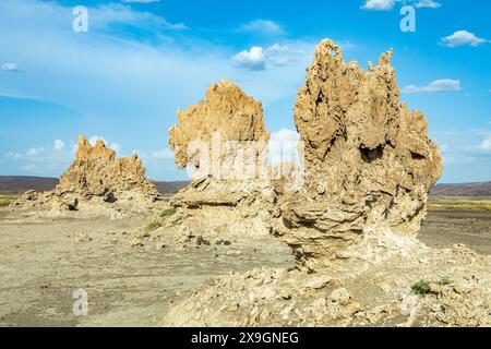 Ciminiere preistoriche calcaree formazioni rocciose, lago salato Abbe, regione di Dikhil, Gibuti Foto Stock