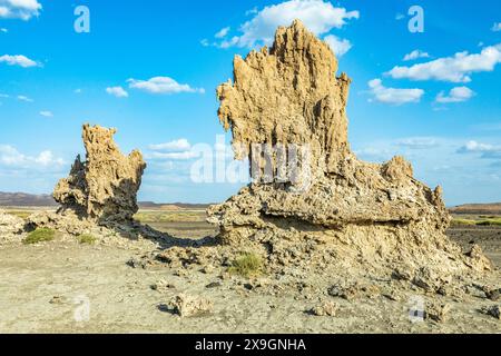 Ciminiere preistoriche calcaree formazioni rocciose, lago salato Abbe, regione di Dikhil, Gibuti Foto Stock