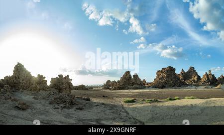 Ciminiere preistoriche calcaree formazioni rocciose, lago salato Abbe, regione di Dikhil, Gibuti Foto Stock