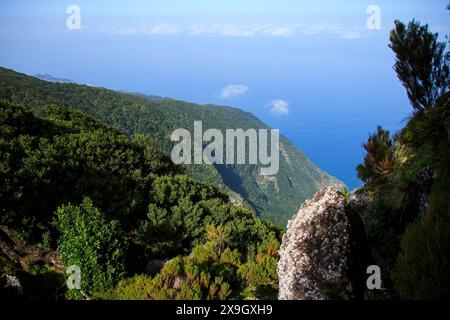 Costa settentrionale dell'isola di Madeira (Portogallo) nell'Oceano Atlantico, vista dalla foresta di alloro Fanal, una parte della foresta indigena di Laurissilva Foto Stock