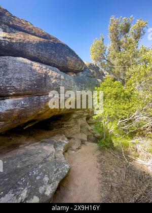 Sentiero escursionistico Sevilla Art Rock Trail, paesaggio secco con formazioni rocciose, Cederberg Mountains, vicino a Clanwilliam, Capo Occidentale, Sud Africa Foto Stock