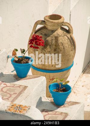 Una grande brocca di argilla e due vasi di fiori blu con piante adornano una scala rustica in stile mediterraneo, Tunisi in Africa con rovine dell'epoca romana Foto Stock