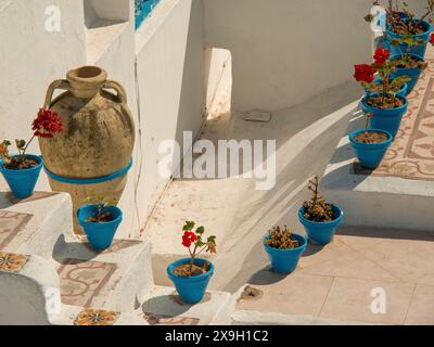 Scala in stile mediterraneo con vasi di fiori blu, un grande vaso di argilla e pareti bianche, Tunisi in Africa con rovine romane, moschee moderne e blu e. Foto Stock