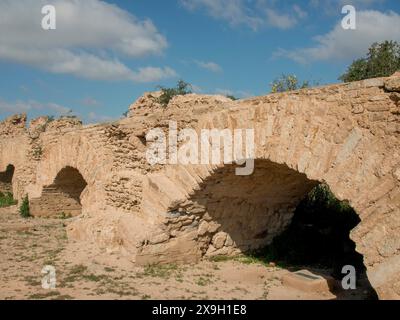 Enormi e antichi archi in pietra di una cinta muraria della città sotto un cielo azzurro chiaro testimoniano la storia del passato, Tunisi in Africa con rovine dell'epoca romana, moderna Foto Stock