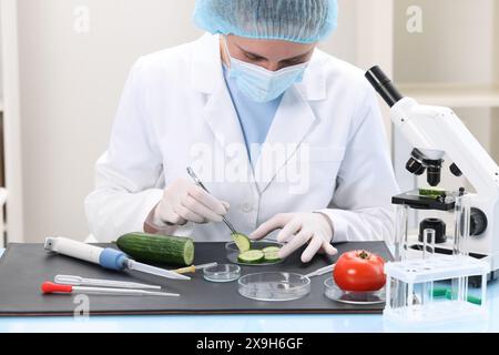 Controllo qualità. Ispettore alimentare che esamina il cetriolo in laboratorio Foto Stock