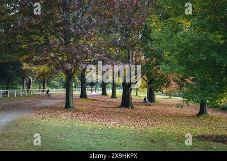 Autunno al Centennial Park di Sydney, Australia Foto Stock