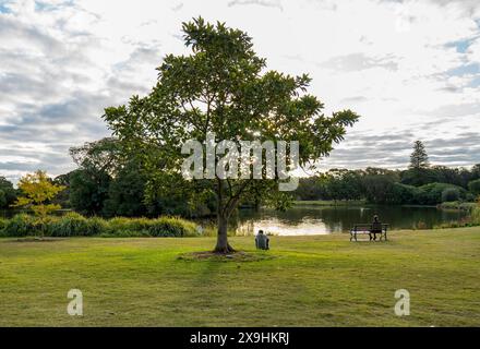 Autunno al Centennial Park di Sydney, Australia Foto Stock