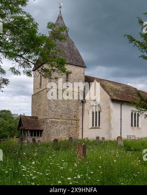 St. Marys Church con fiori selvatici nel cimitero, West Horsley, Surrey, Inghilterra, Regno Unito Foto Stock