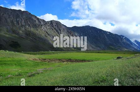 Lungo crinale roccioso alpino in Altai nella valle del fiume Akkol, alla luce del sole, con un grande prato erboso in primo piano, estate, belle nuvole Foto Stock