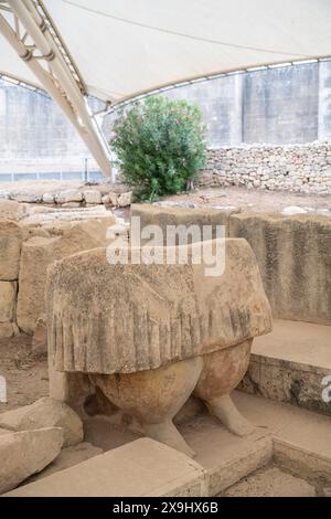 05.24.24. Malta, Tarxien. Antico tempio megalitico presso il complesso Hagar Qim a Qrendi Malta Foto Stock