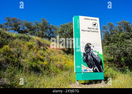 Parco naturale della Sierra de Hornachuelos, provincia di Córdoba, Andalusia, Spagna. Foto Stock