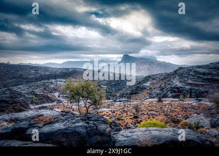 Splendidi paesaggi di Jebel shams Oman. Stagione invernale a Jebel shams, nevica. Foto Stock