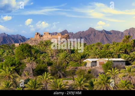 Splendidi paesaggi, Rustaq. Mascate, Oman. Famosi luoghi turistici in Oman. Foto Stock