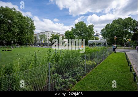 31 maggio 2024, Berlino: Veduta dello spazio verde ben tenuto a Savignyplatz nella City West. Foto: Monika Skolimowska/dpa Foto Stock