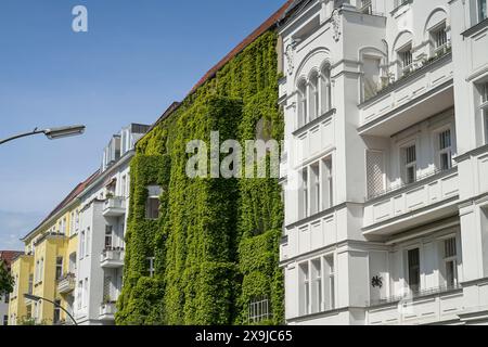 Altbauten, Regensburger Straße, Schöneberg, Berlino, Deutschland Foto Stock