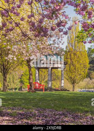 I ciliegi fioriscono al tempio nei giardini commemorativi della guerra nazionali irlandesi Foto Stock