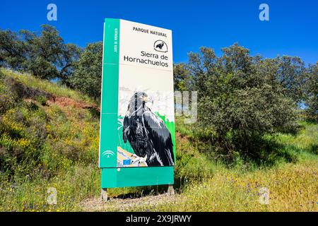 Parco naturale della Sierra de Hornachuelos, provincia di Córdoba, Andalusia, Spagna. Foto Stock