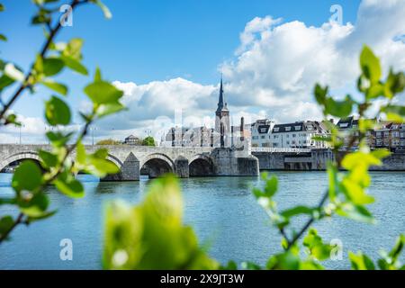 Ponte storico e città di Maastricht vista attraverso le foglie Foto Stock