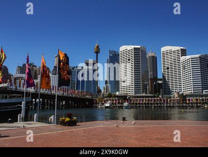 Una vista panoramica dello skyline di Sydney adornata da bandiere colorate, adagiata su un cielo blu limpido. Il vivace paesaggio urbano presenta edifici moderni e iconi Foto Stock
