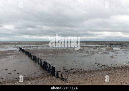La costa meridionale di East Mersea, Mersea Island, Essex. Foto Stock