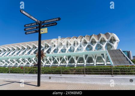 Città delle Arti e delle Scienze di Valencia, insegna al Museo della Scienza moderna (Museu de les Ciències Príncipe Felipe) a Valencia, Spagna. Niente gente, giorno di sole Foto Stock