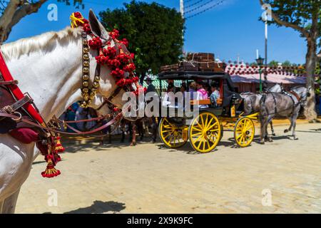 I cavalli decorati osservano la folla mentre le carrozze trainate da cavalli passano davanti alla Fiera di aprile di Siviglia, la Feria de Abril, un festival spagnolo annuale a Siviglia, Spagna Foto Stock