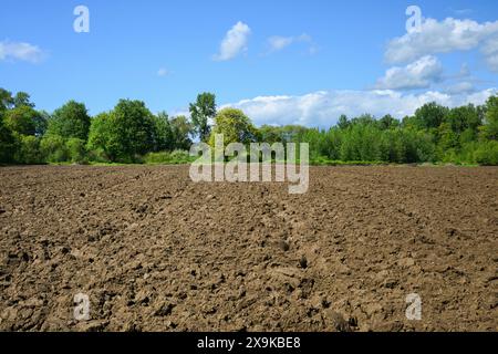 Terreno agricolo arato pronto per la piantagione primaverile con terreno marrone sotto il cielo blu con alberi verdi Foto Stock