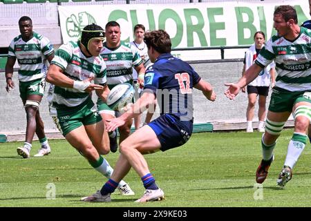 Treviso, Italia. 1 giugno 2024. Immagini della partita URC tra BENETTON RUGBY e Edinburgh Rugby allo stadio Monigo, Italia, il 1° giugno 2024 durante la partita Benetton Rugby vs Edinburgh Rugby, United Rugby Championship a Treviso, Italia, 01 giugno 2024 Credit: Independent Photo Agency/Alamy Live News Foto Stock