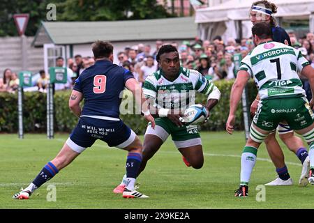 Treviso, Italia. 1 giugno 2024. Immagini della partita URC tra BENETTON RUGBY e Edinburgh Rugby allo stadio Monigo, Italia, il 1° giugno 2024 durante la partita Benetton Rugby vs Edinburgh Rugby, United Rugby Championship a Treviso, Italia, 01 giugno 2024 Credit: Independent Photo Agency/Alamy Live News Foto Stock