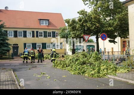 Südliches Anhalt - Starkes Gewitter über Sachsen-Anhalt: Blitz schlägt in Bäume ein 01.06.2024 gegen 15 Uhr Südliches Anhalt OT Radegast IM Zusammenhang mit dem Unwetter, das am Samstag auch über Ostdeutschland gezogen ist, gab es am Samstagnachmittag einen Feuerwereinsatz in Radegast, einem Ortsteil der Gemeinde Südliches. Dort Hat am Nachmittag, gegen 14,30 Uhr, ein Blitz direkt in einem Baum eingeschlagen. Feuerwehrleute wurden alarmiert, um den Baum zu zerlegen und die Straße wieder freizuräumen. Es ist einer von nur sehr wenigen Einsätzen im Kreis Anhalt-Bitterfeld am Samstag. Südl Foto Stock