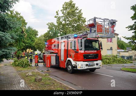 Südliches Anhalt - Starkes Gewitter über Sachsen-Anhalt: Blitz schlägt in Bäume ein 01.06.2024 gegen 15 Uhr Südliches Anhalt OT Radegast IM Zusammenhang mit dem Unwetter, das am Samstag auch über Ostdeutschland gezogen ist, gab es am Samstagnachmittag einen Feuerwereinsatz in Radegast, einem Ortsteil der Gemeinde Südliches. Dort Hat am Nachmittag, gegen 14,30 Uhr, ein Blitz direkt in einem Baum eingeschlagen. Feuerwehrleute wurden alarmiert, um den Baum zu zerlegen und die Straße wieder freizuräumen. Es ist einer von nur sehr wenigen Einsätzen im Kreis Anhalt-Bitterfeld am Samstag. Südl Foto Stock