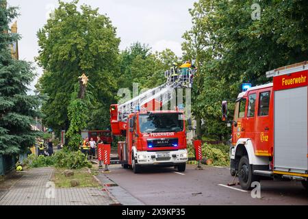 Südliches Anhalt - Starkes Gewitter über Sachsen-Anhalt: Blitz schlägt in Bäume ein 01.06.2024 gegen 15 Uhr Südliches Anhalt OT Radegast IM Zusammenhang mit dem Unwetter, das am Samstag auch über Ostdeutschland gezogen ist, gab es am Samstagnachmittag einen Feuerwereinsatz in Radegast, einem Ortsteil der Gemeinde Südliches. Dort Hat am Nachmittag, gegen 14,30 Uhr, ein Blitz direkt in einem Baum eingeschlagen. Feuerwehrleute wurden alarmiert, um den Baum zu zerlegen und die Straße wieder freizuräumen. Es ist einer von nur sehr wenigen Einsätzen im Kreis Anhalt-Bitterfeld am Samstag. Südl Foto Stock