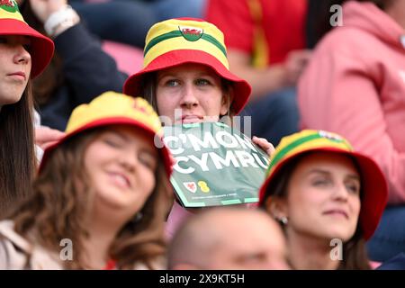 LLANELLI, GALLES - 31 MAGGIO 2024: Tifosi gallesi durante la partita di qualificazione a Euro 2025 di Lega B tra donne gallesi e Ucraina al Parc y Scarlets di Llanelli il 31 maggio 2024. (Foto di Ashley Crowden/FAW) Foto Stock