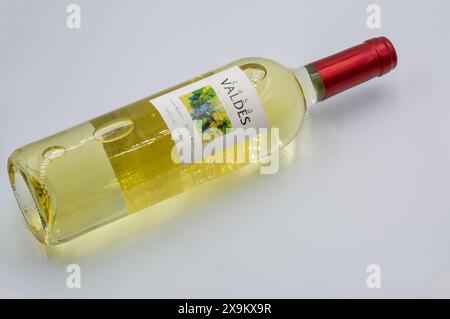 Kiev, Ucraina - 10 agosto 2023: Studio fotografico di Casa Valdes Central Spain primo piano di una bottiglia di vino bianco secco su sfondo bianco. Foto Stock