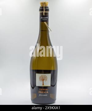 Kiev, Ucraina - 10 agosto 2023: Studio fotografico di una bottiglia di vino frizzante Terra fresca in primo piano su sfondo bianco. Foto Stock