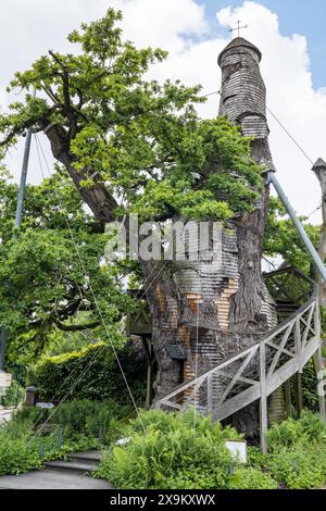 Chiesa in un albero di quercia Foto Stock