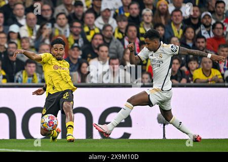 Londra, Regno Unito. 1 giugno 2024. Ian Maatsen (22) di Dortmund lotta per il pallone con Rodrygo (11) del Real Madrid durante una partita di calcio tra il Borussia Dortmund tedesco e il Real Madrid spagnolo CF nella finale di UEFA Champions League della stagione 2023-24, sabato 1 giugno 2024 a Londra, Regno Unito. Crediti: Sportpix/Alamy Live News Foto Stock