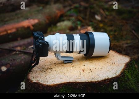 fotocamera, teleobiettivo, foresta, fotografia, natura, esterno, attrezzature, fotografia naturalistica, teleobiettivo Foto Stock