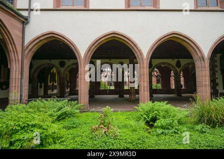 Chiostro grande, Basilea Minster, Muensterplatz, Basilea, Svizzera Foto Stock