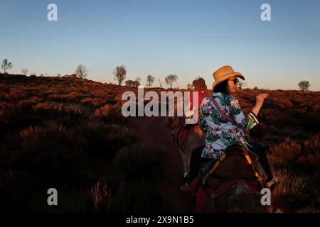 Donna che si accende su un cammello, cavalca lungo una coda di sabbia rossa al tramonto con l'ultima luce che colpisce gli arbusti e gli alberi del deserto nell'Australia centrale Foto Stock